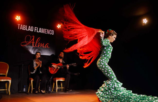 Espectáculo flamenco en el tablao Alma - Foto 6