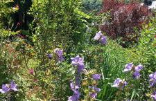 Chalet du Doumet - Appart LUZ centre - parking et garage individuel ferme - draps et serviettes inclus - Foto 70