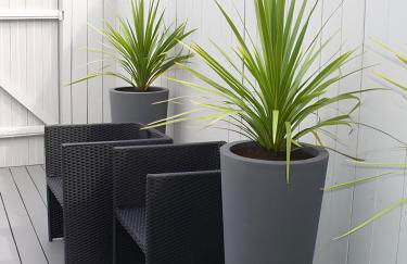 Le Gîte de l'Océan - Foto 11