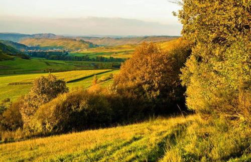 Wine Country Apartment - Foto 28