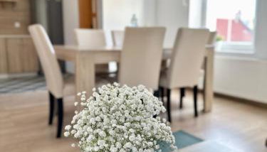 Przestronny apartament nr 7 z widokiem na góry Sowie - Foto 3