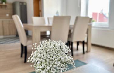 Przestronny apartament nr 7 z widokiem na góry Sowie - Foto 3