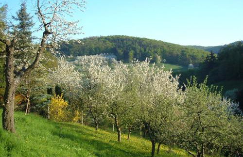 Ferienwohnungen "allerleigrün" - Foto 15