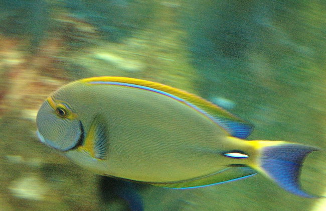 Bradclin @ Mutual - Foto 36