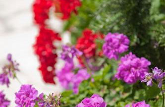 Residence Le Vigne - Foto 48