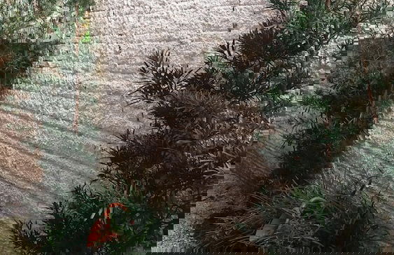 Paradise Bangalô Praia do Moçambique - Foto 11