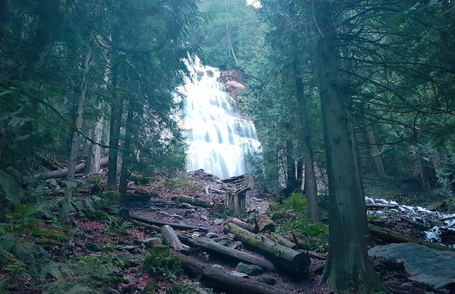 Sarla Villa - Photo 22