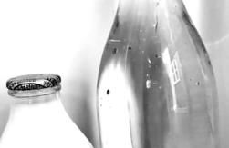 Garden Apartment Morpeth- with lockable bike storage! - Foto 27