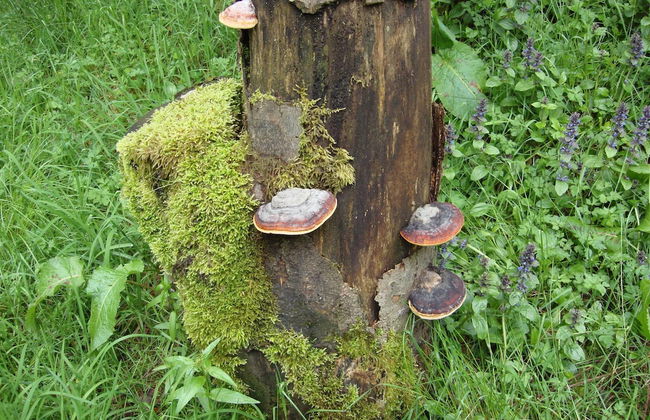Cosy Apartment in Hallenberg Near Centre - Foto 80