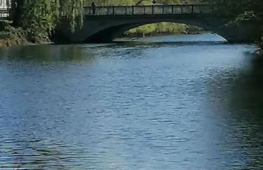 Strasbourg Pont de l'Europe - Foto 23