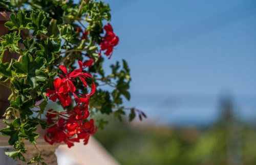 Apartmani Marija Malinska - Foto 27