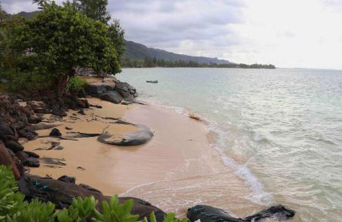 Punalu’u Ocean Paradise - Oceanfront Beach House - Foto 22