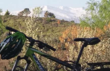 Cuevas la Chumbera - Photo 47