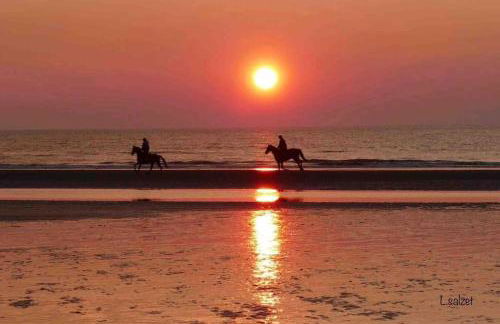 Le Donjon, bord de mer - Foto 28