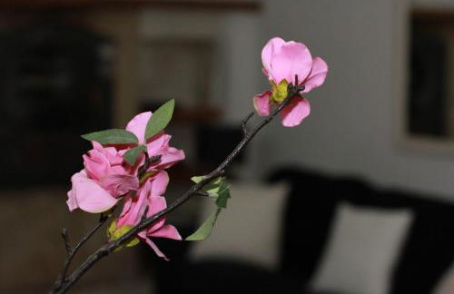 LOFT SUL FIUME center home - Photo 15