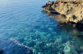 Villa Bini Sac - Photo 8