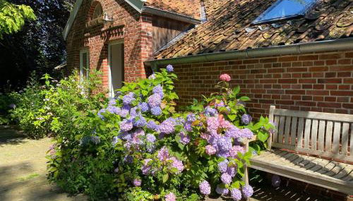 Ferienwohnung 1 Akazie Holthusen 25514 - Foto 5