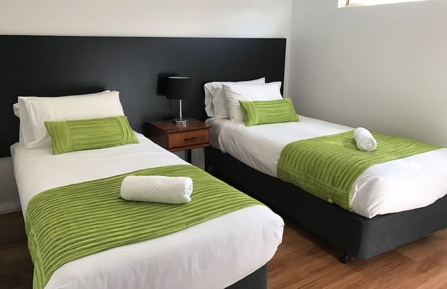 Pelicans Albany - Foto 4