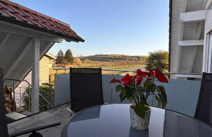 Ferienwohnung Regina mit traumhafter Aussicht - Foto 13