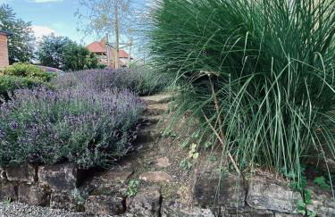 Haus Lavendel - Foto 11