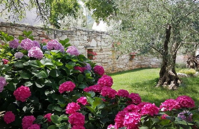 Villa Brumnic Apartments - Foto 32