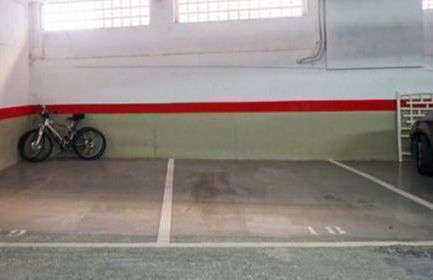 Salamandra - Photo 46