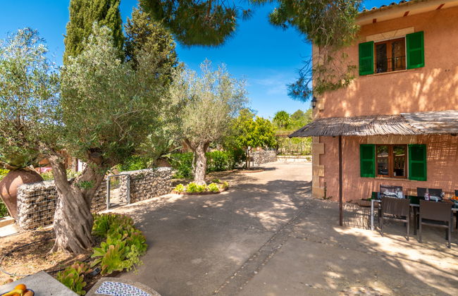 Capella Rubi - Photo 49