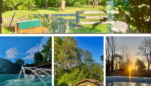 O et Terre, gite ressourcement bains spa cryo sauna et foret - Foto 1