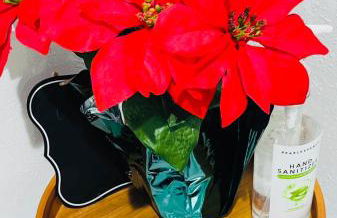 Lovely Sherman Oaks Studio - Foto 8