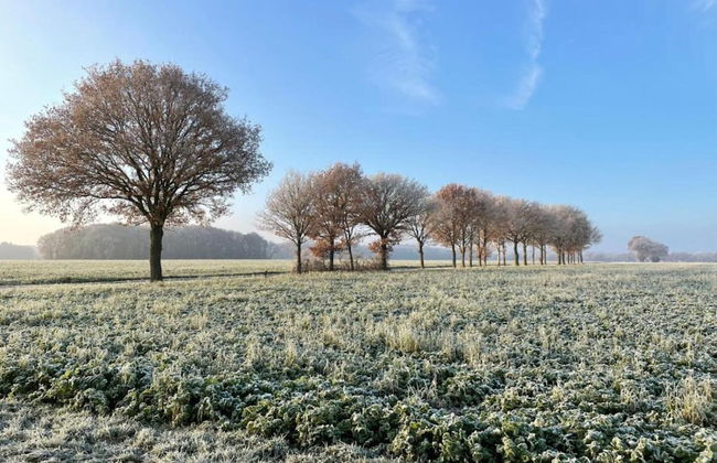 Tranquil Stay in Drenthe - Photo 32