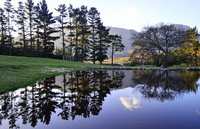 High Season Farm - Photo 2