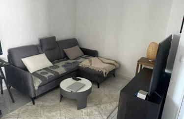 Superbe appartement à Lyon8 avec 2 balcons - Foto 7