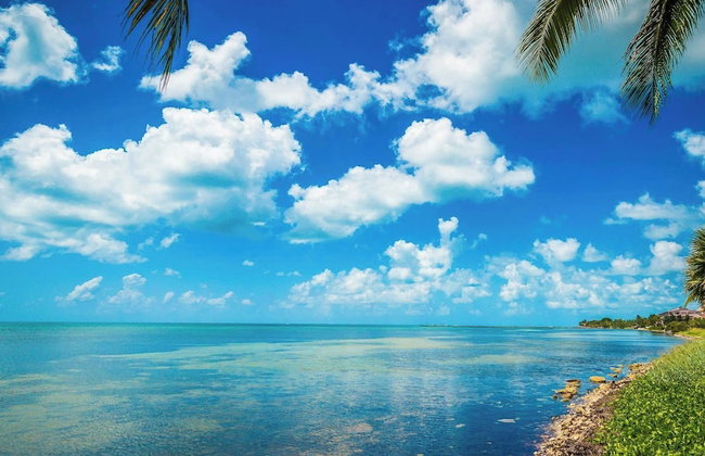 Atlantic Paradise by Avantstay Great Location w/ Balcony, Outdoor Dining & Shared Pool & Hot Tub! - Foto 70
