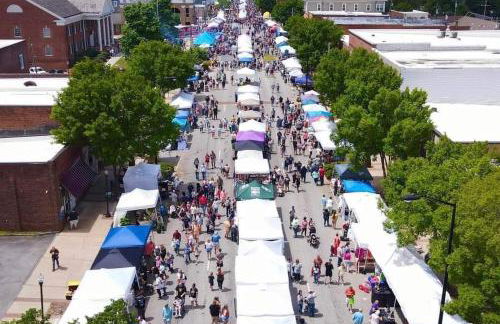 Welcome To Downtown Pickens close to Clemson and Lake Keowee - Foto 37