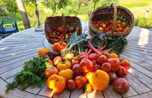 Coeurvert Calme en clairière - Ruhe in der Waldlichtung - Forest clearing stillness - Foto 78