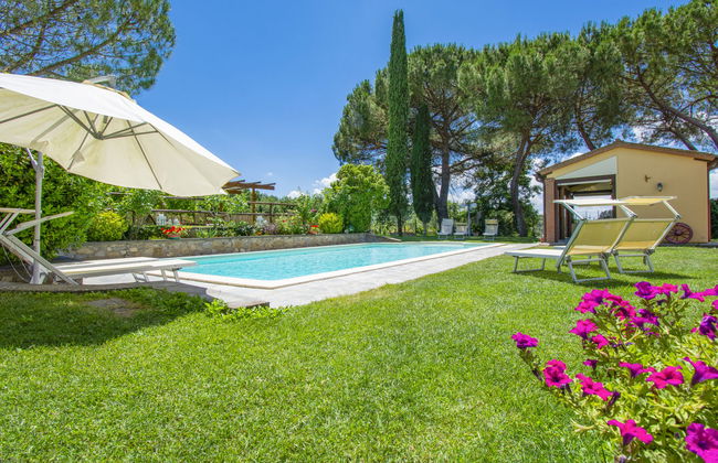 Cedri Alti - Foto 16