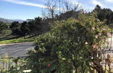 Lines of Wellignton - Foto 47