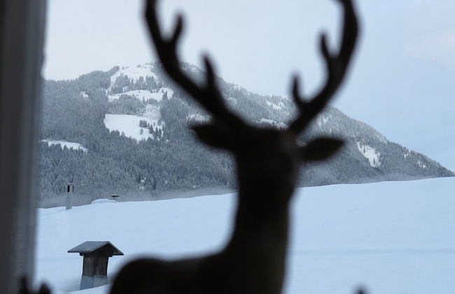 Kitzbühel Apartments Haus Brugger - Foto 37