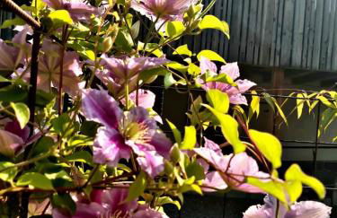 Versigglhof - Foto 51