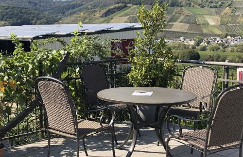 Weingut & Gästehaus Andreas Erz - Foto 16