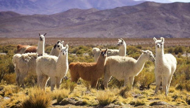 Cachi Day Trip - Photo 3