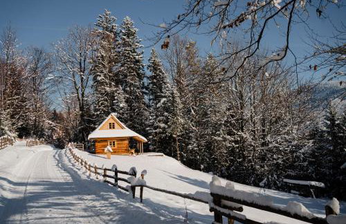 Sopki Stopki Polana Wspólna - Foto 4