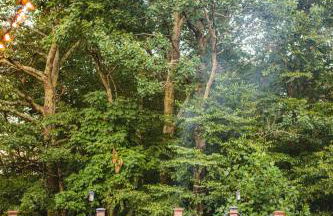 Rustic Ridge Log Cabin: Hot Tub, Games, Views! - Foto 31