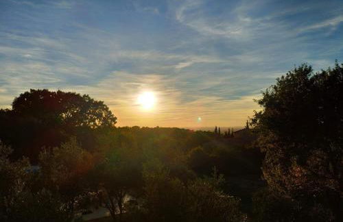 le Gecko en Provence - Foto 45