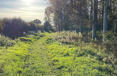 Serafina Cottage - Foto 31