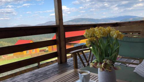 Chata z widokiem na Babią Górę - Foto 2