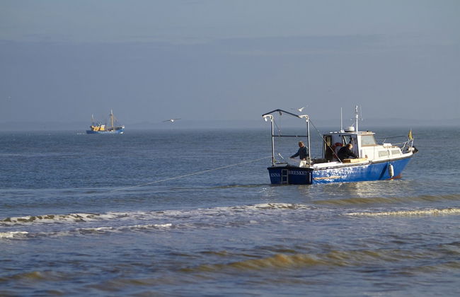 Quaint Holiday Home in Nieuwvliet-Bad near Sea Beach - Foto 37