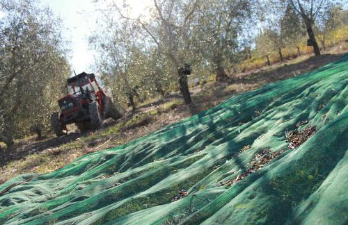 Agriturismo Il Poderuccio - Foto 76