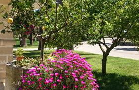 Agriturismo Torrevecchia - Foto 31