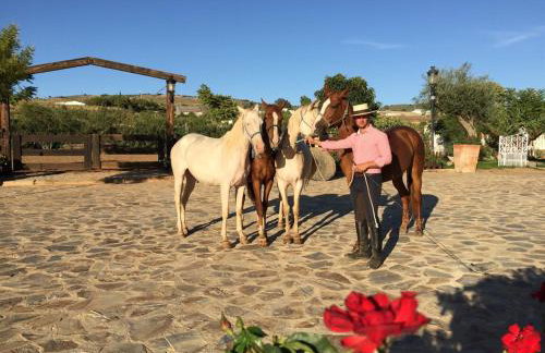 Hotel Rural Finca La Herencia - Foto 40